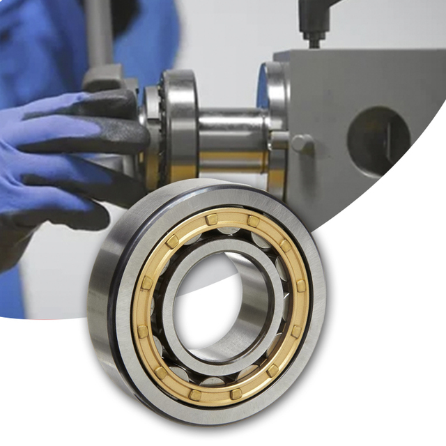 NU 2202 E Cylindrical Roller Bearing NU-2202 NU2202 15*35*14 mm