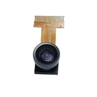 Harga pabrik ESP32 MCU kamera 2MP 21mm 160 derajat sudut lebar OV2640 modul kamera