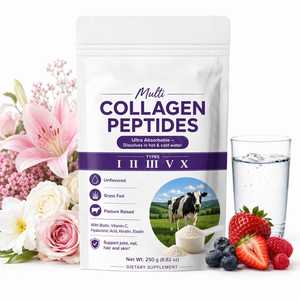 Poudre de collagène Vanwin en gros OEM/ODM avec types de collagène L, II, III, V, X – Peptides de collagène non aromatisés en vrac - Product Image 1