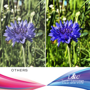 <span class=keywords><strong>Encre</strong></span> de sublimation par transfert thermique de 1000 ml aux couleurs vives pour <span class=keywords><strong>imprimante</strong></span> <span class=keywords><strong>Epson</strong></span> Workforce <span class=keywords><strong>WF</strong></span> <span class=keywords><strong>2630</strong></span> 3620 3720 4630 4734 7210 7710 7720 7820 7840 - Product Image 6