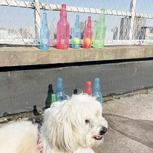 Bouteille d'eau <span class=keywords><strong>pour</strong></span> <span class=keywords><strong>chien</strong></span> Jouet Crunch Play Bouteille Jouet <span class=keywords><strong>pour</strong></span> <span class=keywords><strong>chien</strong></span> Grignoter Bouteille d'eau en plastique - Product Image 5