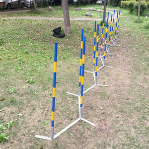 <span class=keywords><strong>Dog</strong></span> Agility 12Weave <span class=keywords><strong>Pole</strong></span> Mascotas Entrenamiento Slalom Obstáculos para perros - Product Image 4