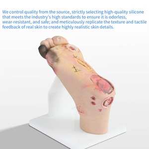 Alat Bantu Pengajaran Manekin Kaki <span class=keywords><strong>Diabetes</strong></span> Pencegah - Model Gejala Ringan (PVC) untuk Pendidikan Pengasuh & Perawat - Product Image 3