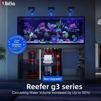 JULYKAI - Póster de Fondo para Acuario con Efecto 3D, Adhesivo de PVC, Diseño de Coral Submarino, Fácil de Instalar (61x41cm)