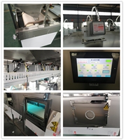 Machine de séchage au micro-ondes industrielle CE pour vers de farine, à fonctionnement facile, sans gaspillage, économe en énergie, en matériaux de qualité alimentaire