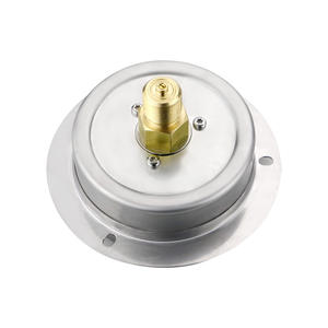 เครื่องมือวัดความดันขนาด100มม. 2.5% ตัวบ่งชี้ชนิดความดันก๊าซแอมโมเนียเครื่องวัดความดันแบบแคปซูลพร้อมขอบหน้าแปลน - Product Image 2