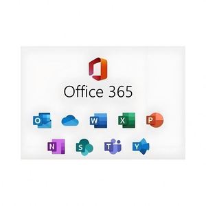 Logiciel 365 Pro A1 100 Go à vie pour MAC avec activation en ligne et protection directe par mot de passe - En stock - Product Image 5