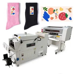 Printer Inkjet Menyediakan 220V Otomatis PET Film Pigmen Tinta Pabrik Produsen Digital Inkjet Printer 30Cm Produk Panas