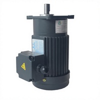 Moteur à engrenages triphasé à frein CA 0,75 kW 220 V CA/380 V CA/415 V CA, couple élevé, IP44, 50/60 Hz, 7-500 tr/min, montage sur panneau, pour machine d'emballage complète