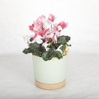 Fabricant de gros petit pot de fleur en plastique de 8 pouces avec soucoupe jardin décoration de la maison pots de plantes d'intérieur en plastique