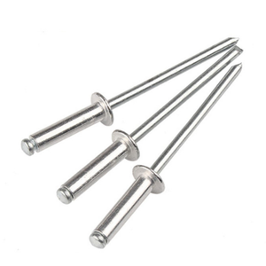 Rivets aveugles à extrémité ouverte, rivets autoperceurs galvanisés à tête dôme à grande bride, fixations décoratives, mandrins pour rivets aveugles - Product Image 1