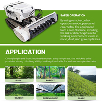 Nouveauté Mini tondeuse à gazon à fléaux agricoles 800mm 1000mm 1200mm Rc Home Robotic Diesel Power Crawler Tondeuse à gazon pour la coupe d'herbe