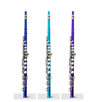 Woodwind Instruments 16 Hole C Flute Wind Instrument