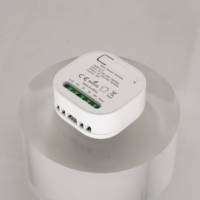 Modul Saklar Pintar SIXWGH Wholesale Zigbee 3.0 RF433 10A Tuya Smart Life Relay Hub Diperlukan untuk Alexa Google SmartThings