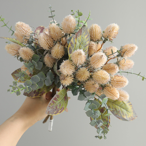 <span class=keywords><strong>Fleurs</strong></span> <span class=keywords><strong>de</strong></span> Banksia australiennes <span class=keywords><strong>de</strong></span> qualité supérieure - <span class=keywords><strong>Fleurs</strong></span> séchées naturelles pour la décoration <span class=keywords><strong>de</strong></span> mariage/maison/<span class=keywords><strong>Livraison</strong></span> rapide - Product Image 5