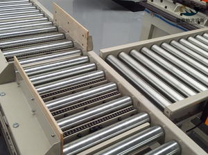 Thiết bị chuyển nâng tùy chỉnh cho các trung tâm hậu cần nhanh và xử lý hành lý sân bay - Product Image 3