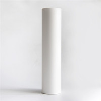 Film imprimable Htv Eco solvant, 5 films authentiques, facile à imprimer, bloc de Sublimation, transfert thermique, vinyle, vente en gros