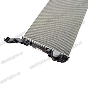 Radiateur de réservoir d'eau pour Renault <span class=keywords><strong>LAGUNA</strong></span> LATITUDE 214100052R - Product Image 3