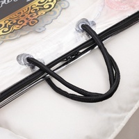 Sac de rangement transparent en PVC pour literie avec cadre en fil d'acier coloré, imprimé en héliogravure, avec cordon de serrage pour couettes et couvertures