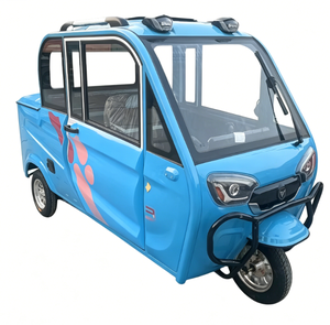 Mini camion électrique avec porte-bagages <span class=keywords><strong>de</strong></span> <span class=keywords><strong>toit</strong></span> robuste. Sa petite taille permettant un stationnement facile, capacité <span class=keywords><strong>de</strong></span> charge <span class=keywords><strong>de</strong></span> 300 à 500 kg pour les petites marchandises quotidiennes - Product Image 5