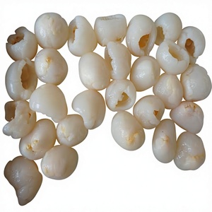 Buah leci kaleng dalam sirup 567g/800g/2840g
