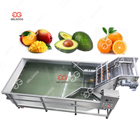 Industriële Fruit Ultrasone Wasmachine Passie Fruit Wassen En Verpakkingslijn Kersen Bosbessen Wassen Sorteermachine