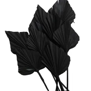 Vendita calda a buon mercato personalizzato conservato fiori e piante pampa per composizione floreale palma da sole palma nera