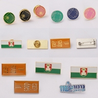 Venta al por mayor de fábrica: Pin de solapa con forma personalizada, logotipo personalizado, regalo promocional, recuerdo, insignia de esmalte epoxi de alta calidad