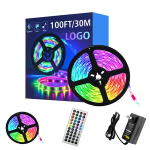 Ip20 not Waterproof Rgb Colorful 10m 5050 Smd Color Changing Led Flex Strip Rope Light With 44key Remote Control