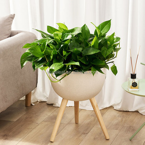 Maceta <span class=keywords><strong>de</strong></span> Plástico con Soporte <span class=keywords><strong>de</strong></span> <span class=keywords><strong>Madera</strong></span> y Autorriego <span class=keywords><strong>para</strong></span> Decoración del Hogar y Jardín - Product Image 6