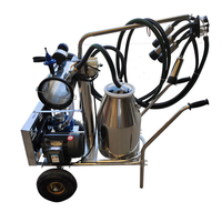 Machine à traire électrique portable en acier inoxydable à roulettes, à seau simple/double, avec pompe à vide, de qualité alimentaire, haute productivité pour vaches