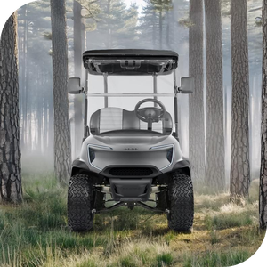 รถกอล์ฟไฟฟ้าสำหรับล่า4x4ที่นั่ง2 + 2ปรับแต่งได้4000W - Product Image 5