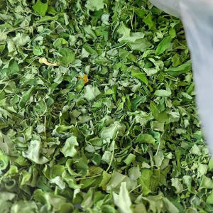 HOJAS DE MORINGA SECAS DE VIETNAM/CULTIVADAS ORGANICAMENTE/LISTO PARA USO PARA MEZCLAS O TABLETAS DE TÉ - Product Image 1