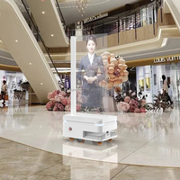 Pantalla Táctil Transparente OLED de 55 Pulgadas con Panel para Publicidad en Interiores en Tiendas Minoristas y Ascensores