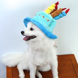 Robe d'anniversaire pour chat et chien, pull, chapeau pour animal de compagnie, coiffe, chapeau pour chat, décorations, vêtements pour animaux de compagnie, accessoires - Product Image 4