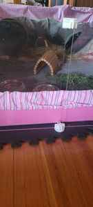 Absorberende cavia dekens, wasbaar, fleece beddengoed voor kleine dieren, kooi-voering - Product Image 5