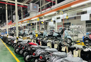 A buon mercato di Importazione Cina Due Posti Adulti Portatori di Handicap Scooter Elettrico 3 Ruote Per Le Persone - Product Image 6