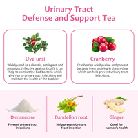 Sachets de tisane personnalisés D-mannose Canneberge Pissenlit racine Gingembre uti thé transparent thé UTI