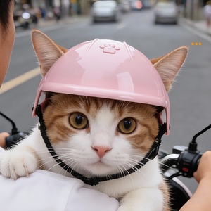 <span class=keywords><strong>Casque</strong></span> de moto pour <span class=keywords><strong>chien</strong></span> avec ouverture pour les oreilles, chapeau réglable pour chiens pour la conduite en extérieur, lunettes coupe-vent, nouveau casquette pour <span class=keywords><strong>chien</strong></span> et chat - Product Image 3