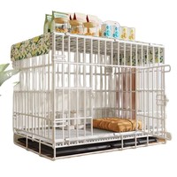 Cage pliable en fer pour chien avec cloison solide, boîte portable pour l'entraînement et l'apprentissage de la propreté des chiots