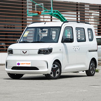 Wuling Zhiguang, Vehículo Comercial MPV, Vehículo Inteligente para Transporte de Pasajeros, Viajes de Negocios, Marca China, Vehículo Utilitario