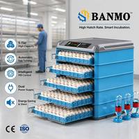 Incubadora de Huevos Digital BANMO para Pollo, Pato y Ganso, Máquina Automática para Voltear Huevos con Sensor de Humedad, Incubadora Profesional para Granjas