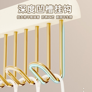 Multifunctional Clothes Hanger With Gold Hooks For Underwear Bras And Ties Rectangle Shape Hook Type Clothing Organizer - Product Image 3