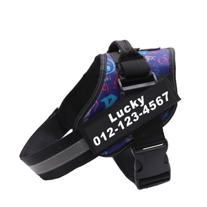 Nuevo Protector de Cuello a Prueba de Explosiones con Arnés Ajustable y Personalizable para Mascotas - Product Image 6