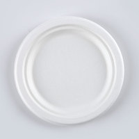 Assiette jetable écologique Matériau de bagasse Assiette à déjeuner Respectueux de l'environnement pour le marché des Émirats arabes unis