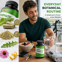 Formule de soutien lymphatique riche en antioxydants - Mélange d'herbes à haute puissance avec curcuma, rutine et bromélaïne