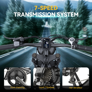 Vélo électrique Hidoes B6 Streetbikes 1200W avec pneus larges de 20 pouces, vitesse de 50 km/h, batterie au lithium 48V 15.6AH, certifié FCC/ROHS/CE/UKCA, prêt à l'emploi - Product Image 3
