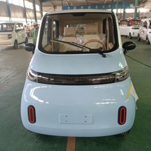 Remise limitée dans le temps sur les véhicules électriques haut de gamme pour adultes, à 4 roues motrices, à charge rapide et à 4 portes. - Product Image 1