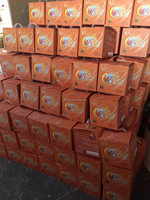 Boule anti-incendie portable à poudre sèche ABC certifiée CE XiangFa Auto, 0,5 kg, 1,3 kg, 4 kg, garantie 30 ans, haute pression 15 bars