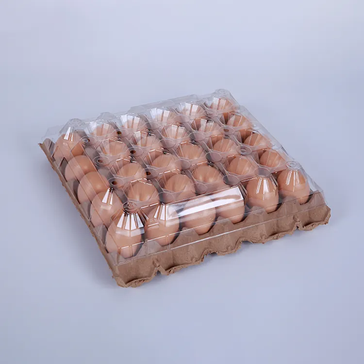 Bandeja de plástico para huevos, 30 agujeros, conveniente, para tienda de comida, restaurante